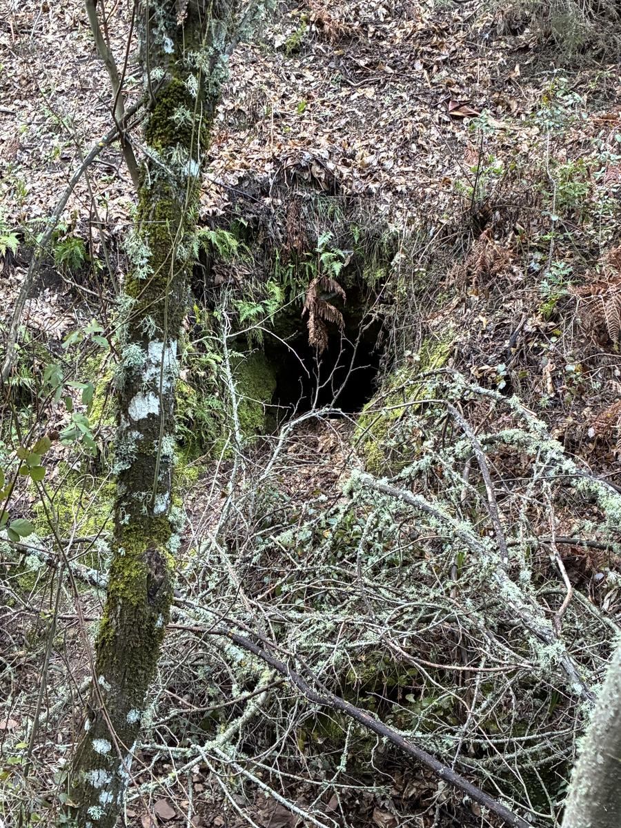 Cueva sendero inicial La Concha Sierra Blanca Marbella